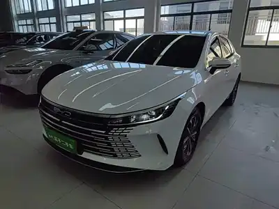 BYD Destroyer 05 2024