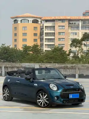 MINI MINI 2020