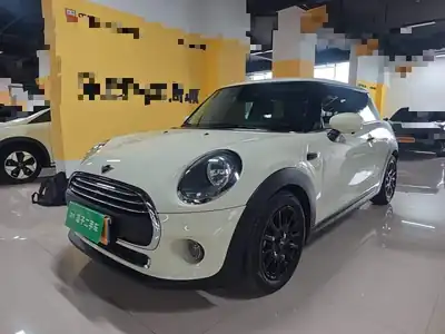 MINI MINI 2020