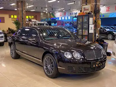 Bentley Feichi 2010