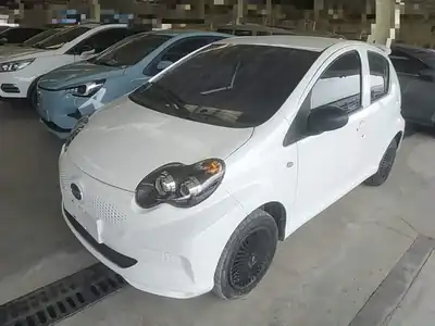 BYD e1 2021