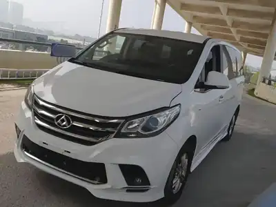 Maxus G10 2019