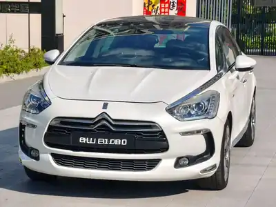 DS 5 2014