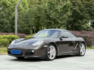 Porsche Cayman 2010