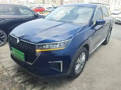 Venucia Xing 2021