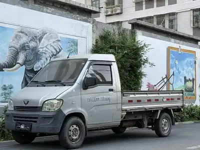 Wuling Zhiguangxiaoka