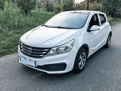 Baojun 310 2017