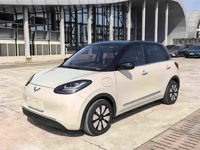 Wuling Bingo 2025