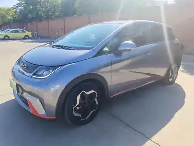 BYD Dolphin 2022