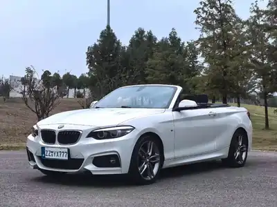 BMW 2 Xi ( (импорт) 2018