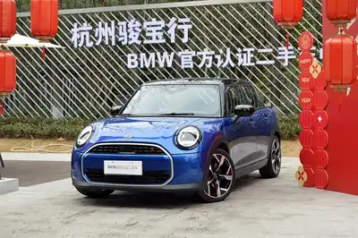 MINI MINI 2025