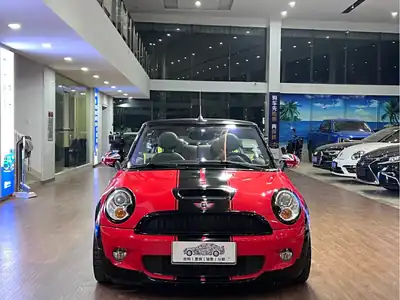 MINI MINI 2010