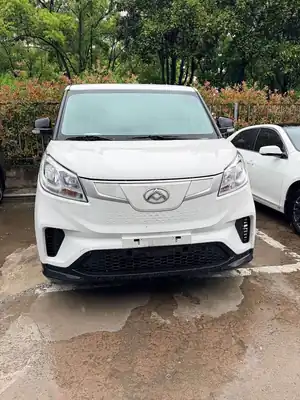 Maxus EV30