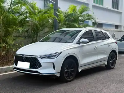 BYD e2 2020