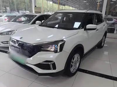 Venucia T60EV