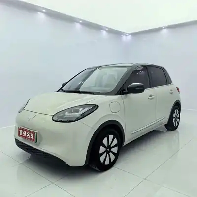 Wuling Bingo 2025
