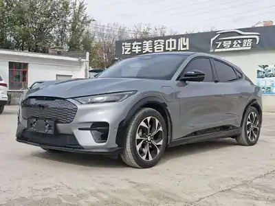 Ford Dianma 2023