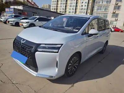 Wuling Starlight 730 NEV 2025