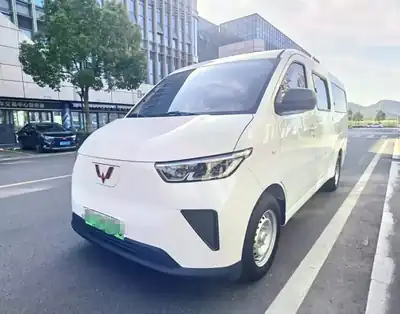Wuling Yangguang 2025