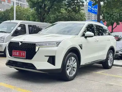 Venucia Xing 2021