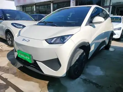 BYD Seagull 2025