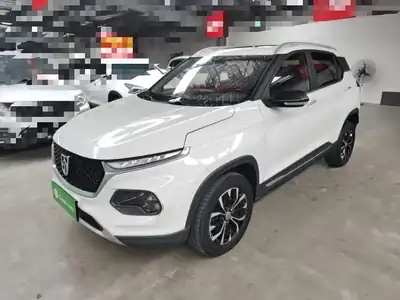 Baojun 510 2019