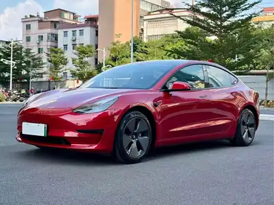 Tesla Model 3 2021