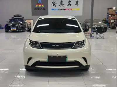 BYD Dolphin 2023