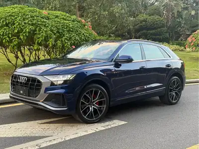 Audi Q8 2020