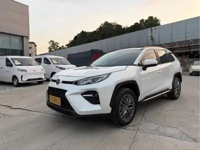 Toyota Wildlander 2024