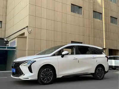 Dongfeng Forthing Fengxingyouting 2023
