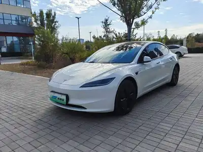 Tesla Model 3 2025