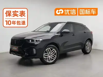 WEY VV5 2018