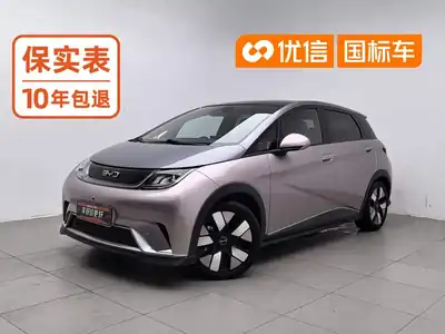 BYD Dolphin 2024