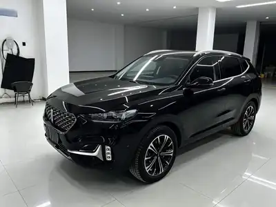 WEY VV6 2021