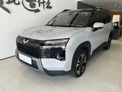 Wuling Starlight 560 NEV