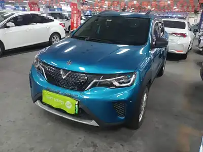 Venucia e30
