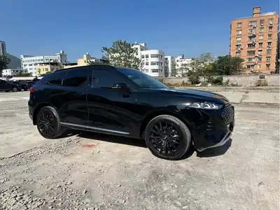 WEY Moka NEV 2022