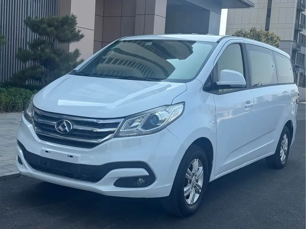 Maxus G10 2016, фото 1