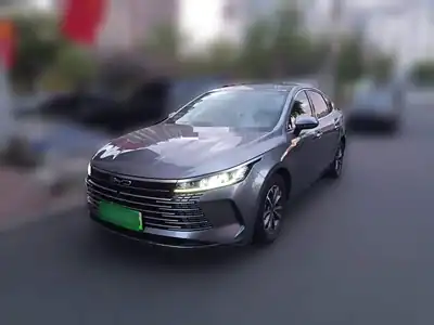 BYD Destroyer 05 2024