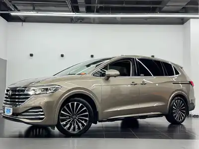 Volkswagen Viloran 2021