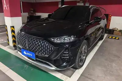 WEY Moka NEV 2022