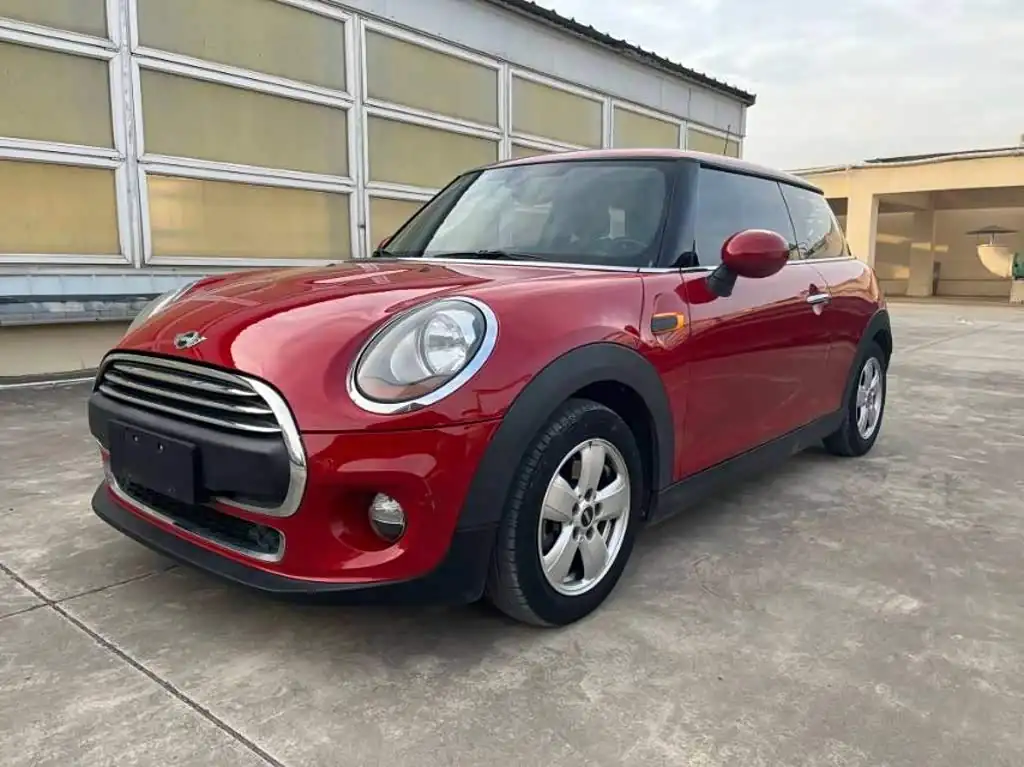 MINI MINI 2016, фото 1