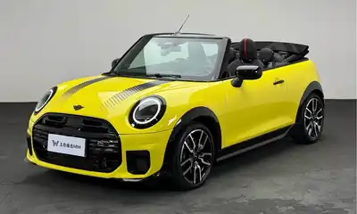 MINI MINI 2025