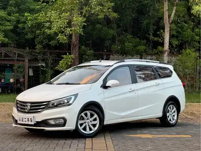 Baojun 310W 2017