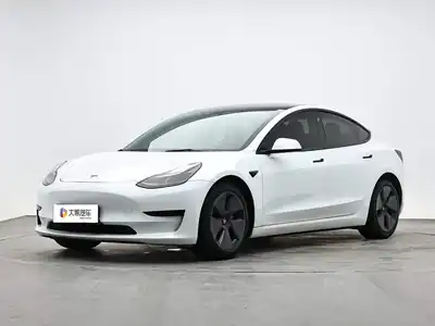 Tesla Model 3 2020