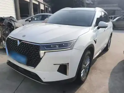 Venucia Xing 2021