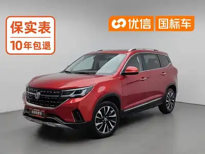 Dongfeng Forthing Fengxing T5