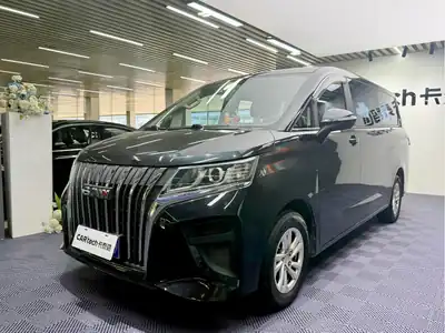 Beijingqichezhizaochang Ruishengwangpai M7 2024