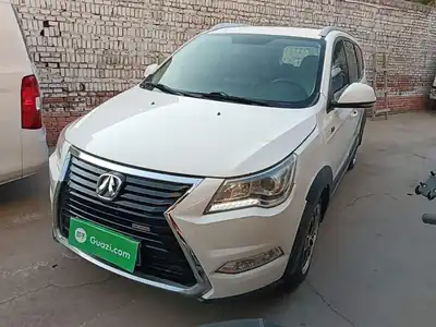 Beiqiweiwang M60
